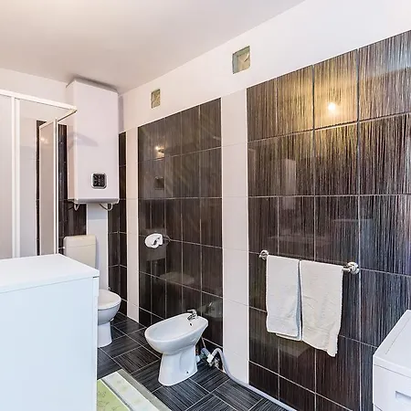 Apartment Zara Liznjan